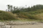 PICTURES/Port Ordford - Battle Rock Wayside Park/t_P1020823.JPG